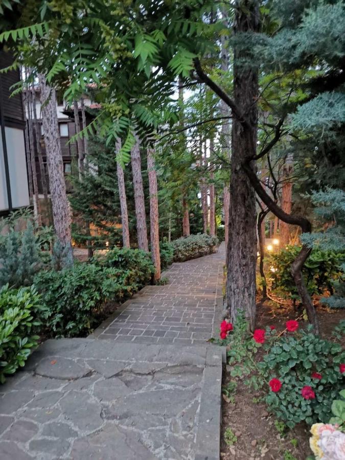 Quiet Apartment With Big Terrace In Santa Marina With Parking سوزوبول المظهر الخارجي الصورة